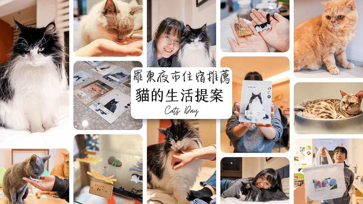羅東夜市住宿推薦|貓的生活提案 Cats Day,獨家貓咪陪睡體驗,貓奴必住療癒系民宿與咖啡廳! - 第1張圖