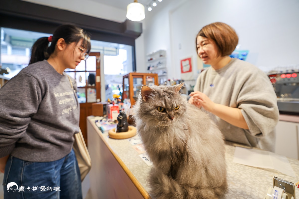 羅東夜市住宿推薦|貓的生活提案 Cats Day,獨家貓咪陪睡體驗,貓奴必住療癒系民宿與咖啡廳! - 第19張圖
