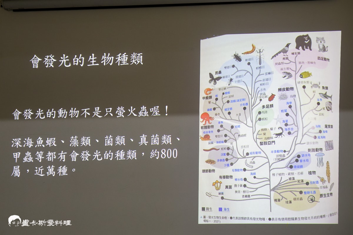 宜蘭賞螢推薦｜頭城農場賞螢火蟲：$499起 起享農村美食吃到飽、專業生態導覽，超強懶人行程全攻略！